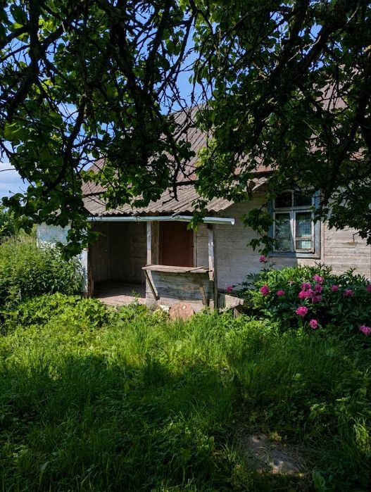 Продаж земельної ділянки 64 сот. с.Піддубці, 11 км. від Луцька є газ, світло