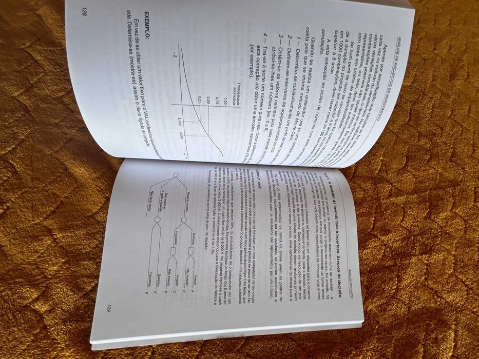 Livro de Analise de Projectos de Investimento