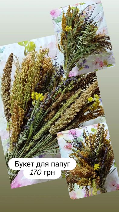 Корм,копошилка для папуг