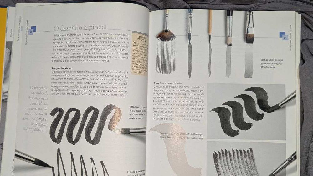 Livro sobre pintura