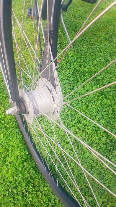 Rower Holenderski Sparta.