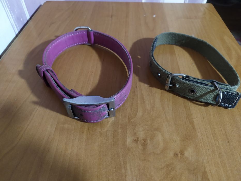 Поводок.Ошейник .Повідець. Нашийник. Шлейка.
