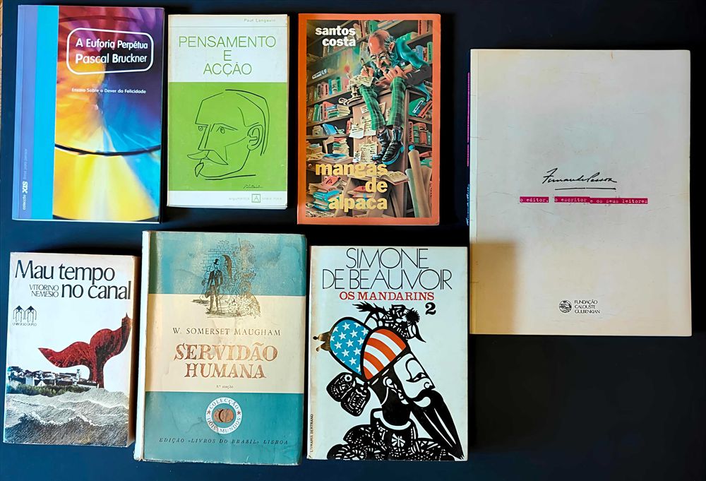 31 livros. Literatura variada. Lote 90€.