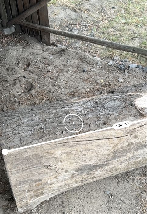 Dąb sezonowany na plastry stoliki i inne roznosci