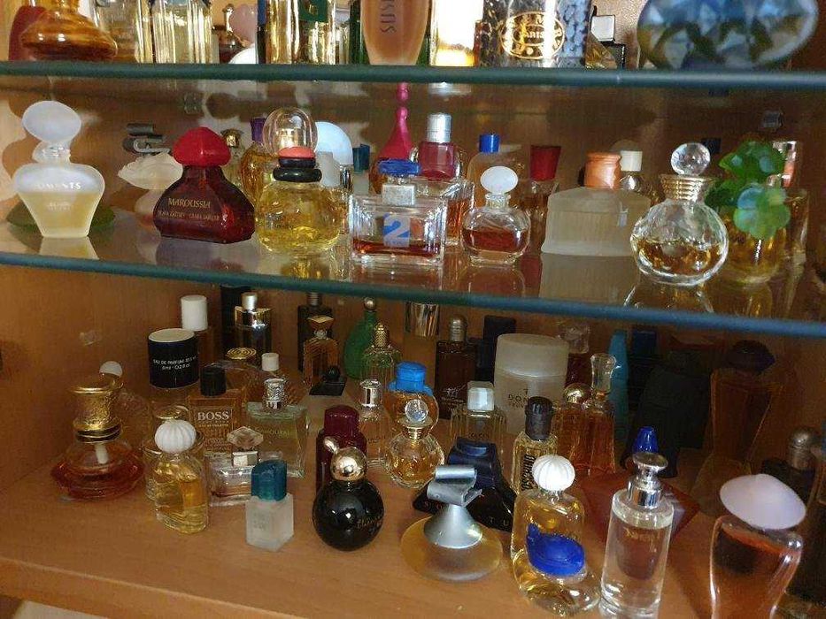 +50 perfumes miniatura