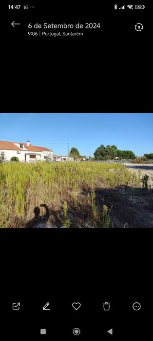 Prestação de servico