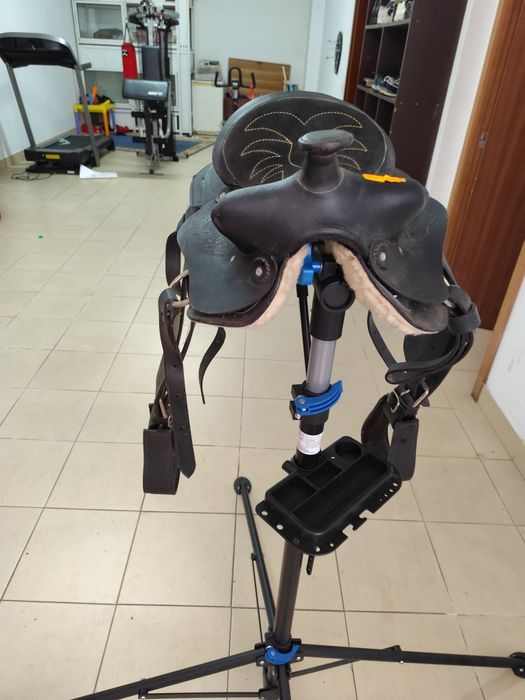 Vendo arreio de ponei novo