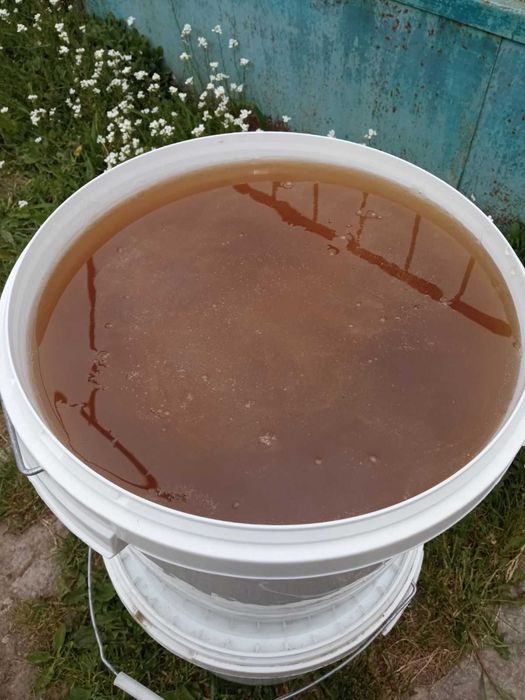 продам бджоли з вуликами