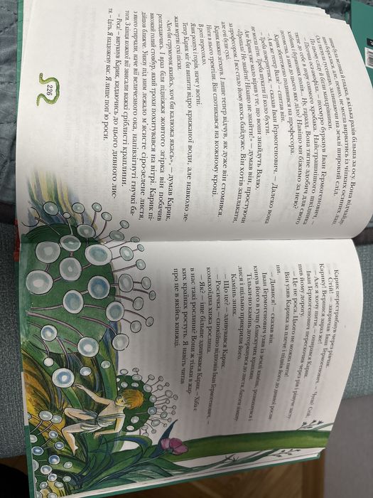 Незвичайні Пригоди Карика і Валі укр