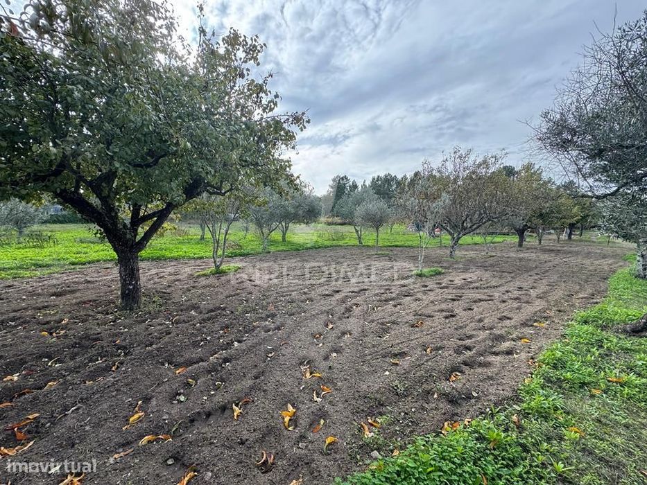 Quinta Rural T4