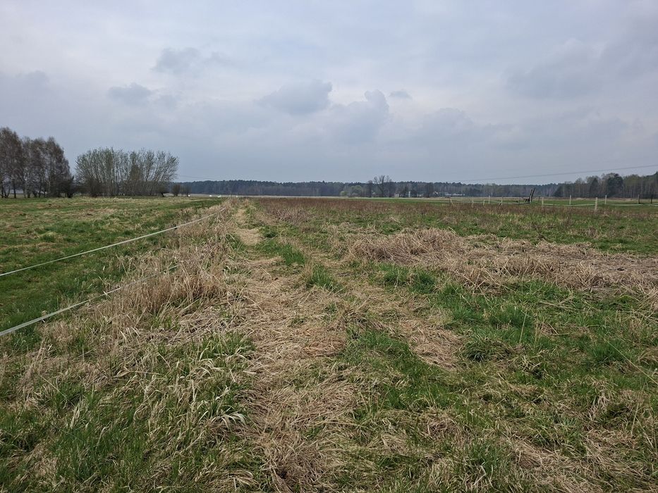 Działki budowlane