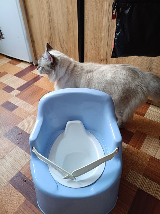 Продам детский горшочек