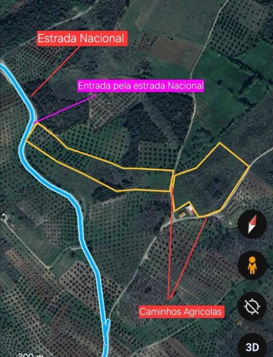 Terreno com Olival com aproximadamente 2,5 hectares em Olmos, Macedo de cavaleiros