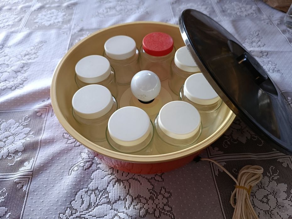 Iogurteira laranja