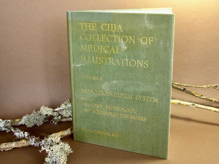 The Ciba Collection of Medical Illustrations V8 Musculoskeletal System