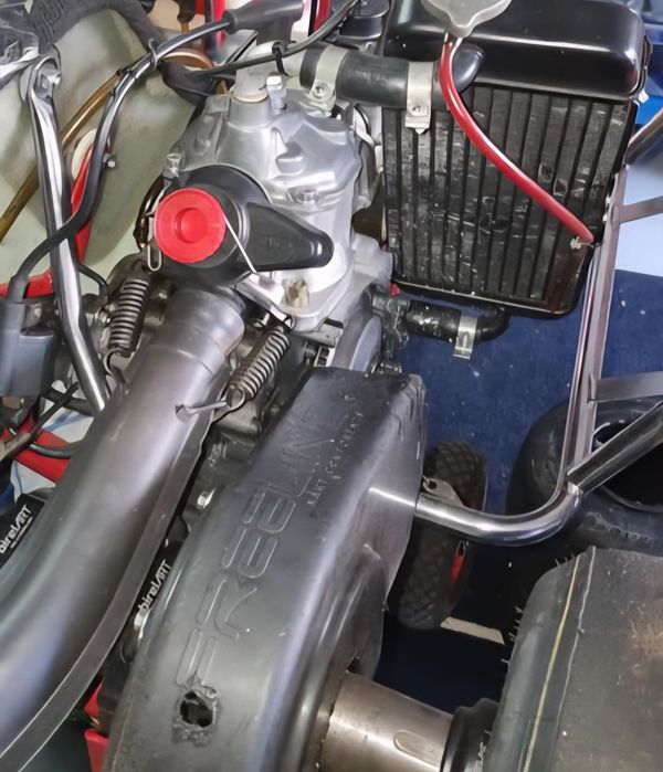 Rotax max 125 completo
