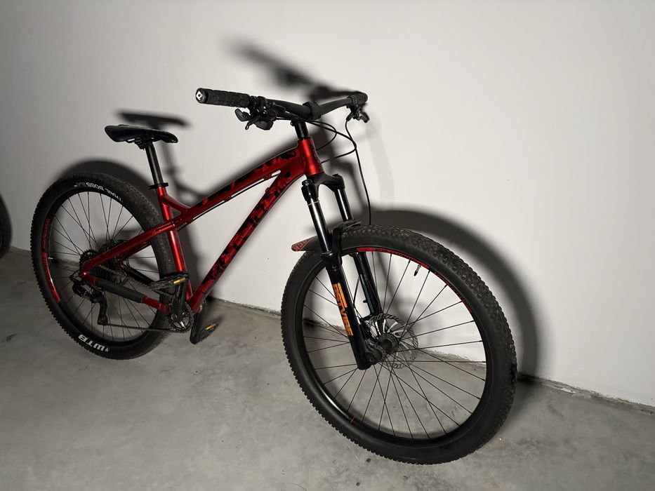 Dartmoor primal  29