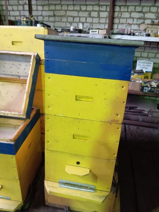 Вулики Рута на 230мм