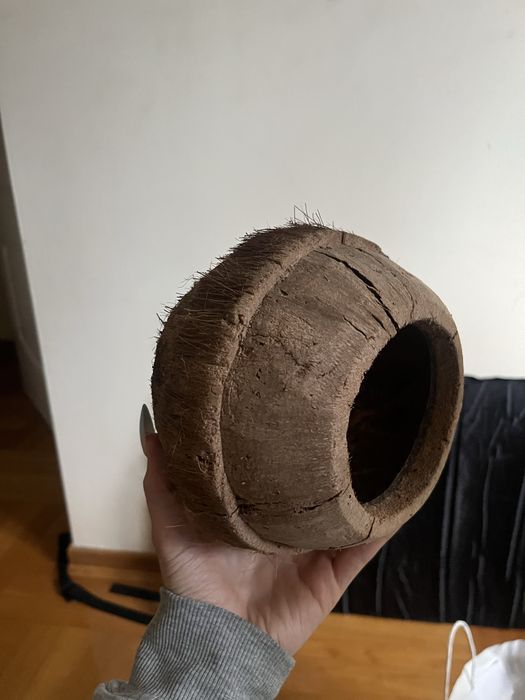 sprzedam kokosy i tyuby korkowe