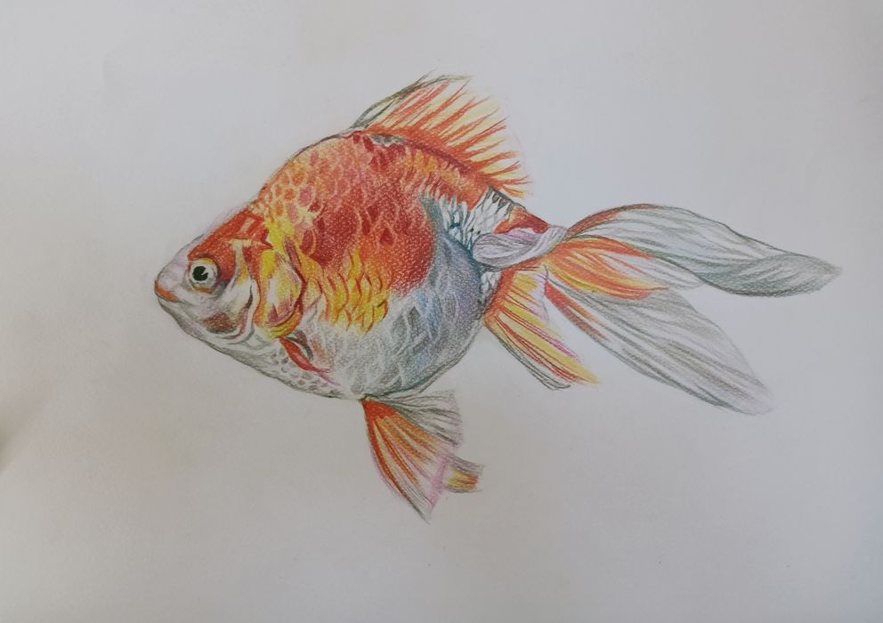 Уроки рисования для детей и взрослых