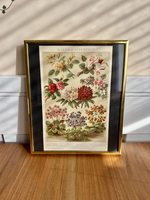 Złota metalowa ramka kwiaty grafika leksykon 1894 vintage ciężka dekoracja