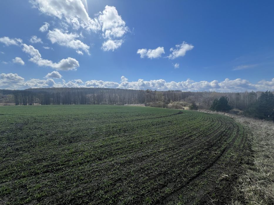 Продаж земельної ділянки, ПРИВАТИЗОВАНА. Масив Європейський. 2 Га