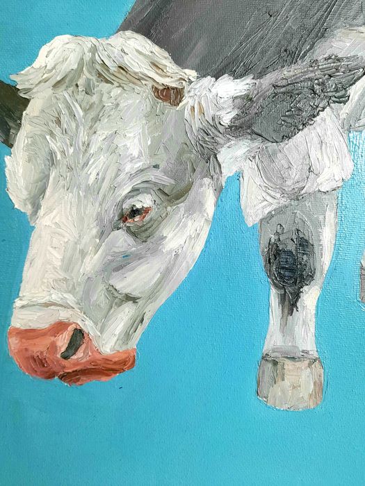 Obraz krów, płótno 60x80, farby olejne