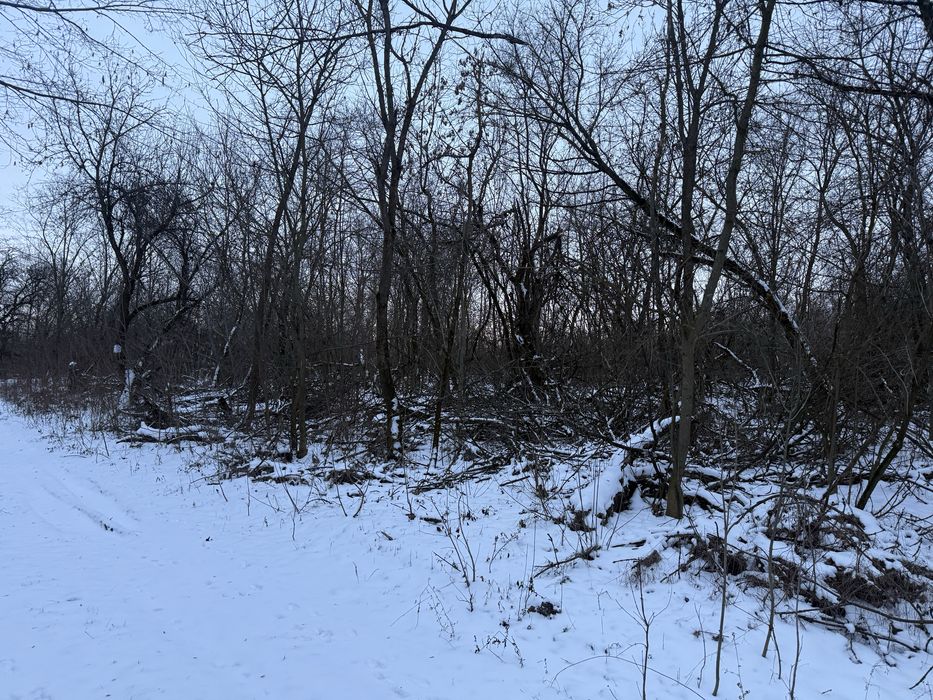 Шукаю компанію яка безкоштовно викорчує  садок