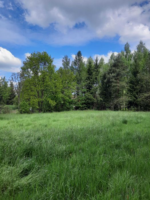 Piękna działka w Komarnie - Widok 3