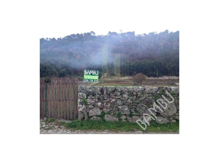 Terreno Rústico em Cristelo