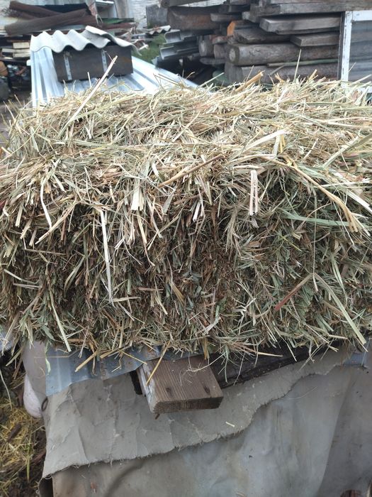 Продам солому ячну в тюках. Сіно/сено/ лугове .