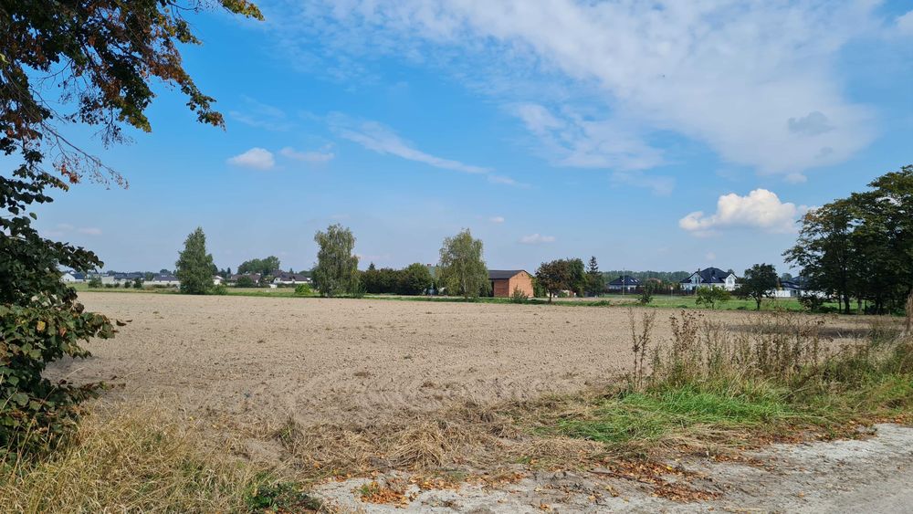 Tanie działki w Piotrkowie w okolicach Castoramy