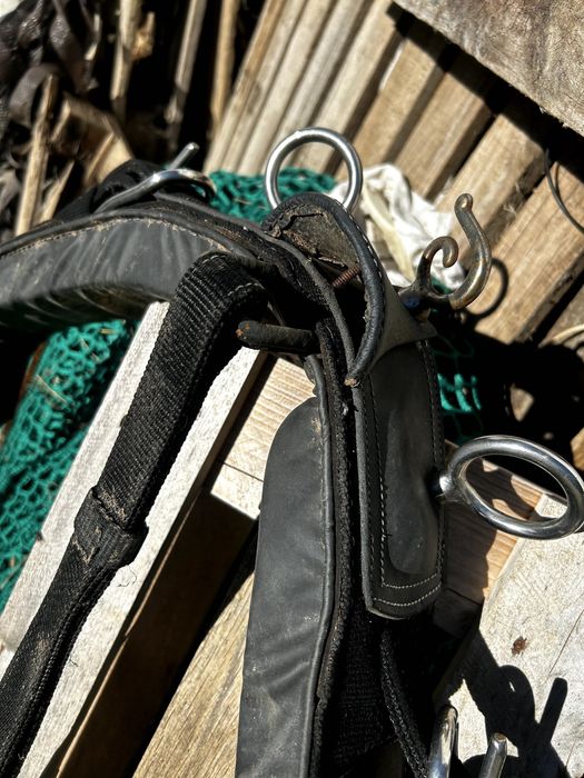 charete de 1 eixo para burro grande ou Mula / cavalo ate 155cm + Arreios sintheticos de Sieltec