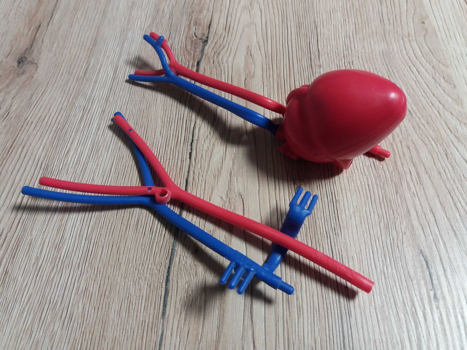 Tajemnice ludzkiego ciała - kolekcja DeAgostini IV