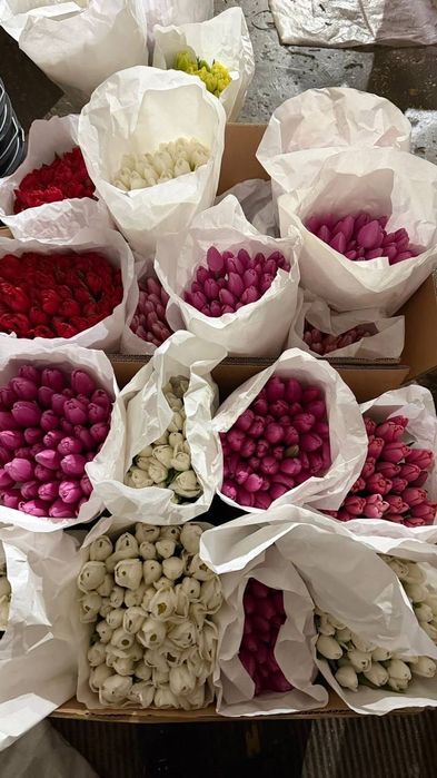 Квіти тюльпани букет Ірпінь Доставка