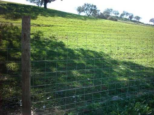 Rede Ovelheira Eletrosoldada FORTE (NOVO)