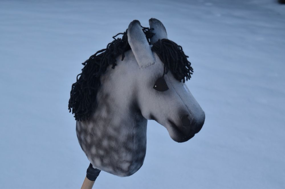 Hobby horse EQR a4