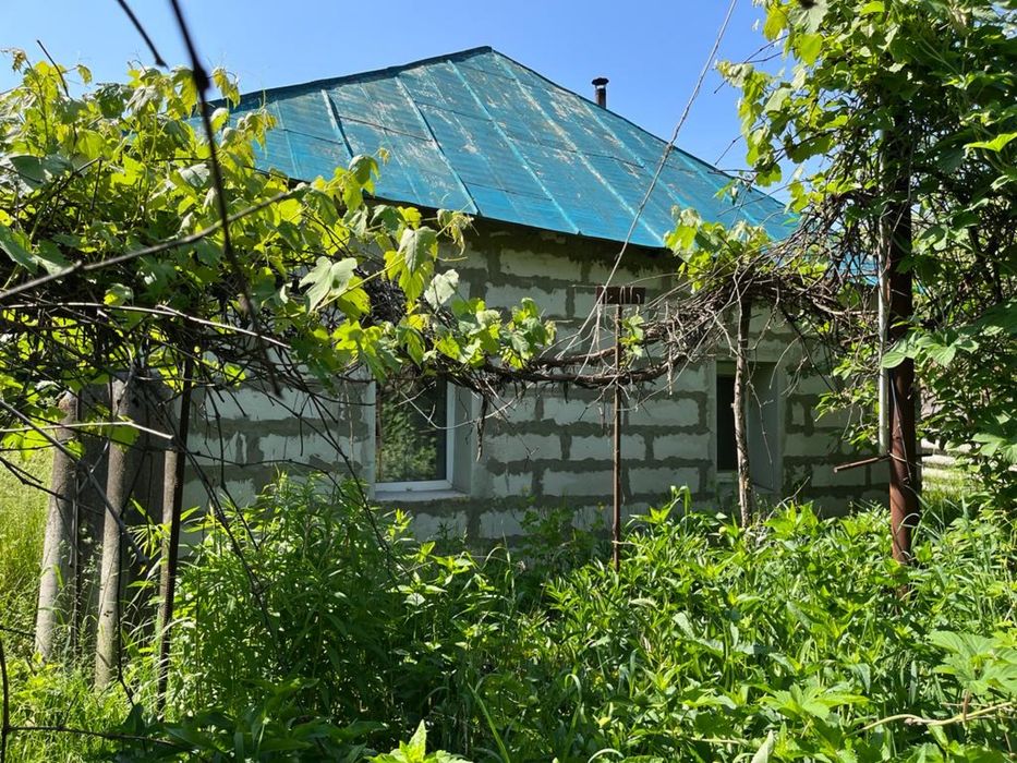 Будинок в селі Нова Басань, цікавить пишіть тел. 0631703595