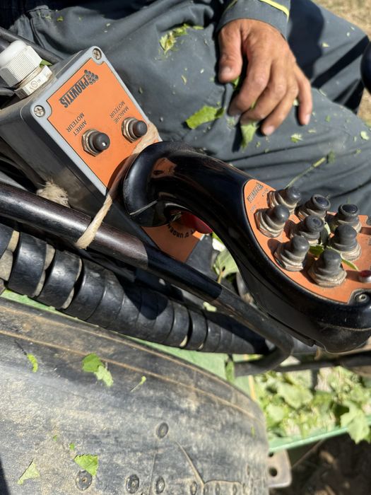 Despampanadeira provitis