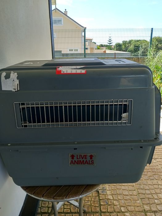 Transportadora portátil para cães