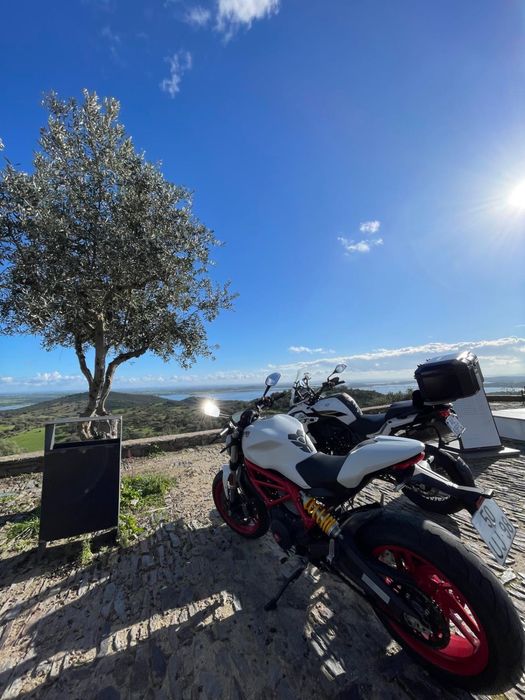 Ducati Monster 797 | 2018 | 19.000 km | Escape Termignoni