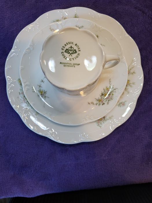 Serwis Rosenthal Classic Rose Monbijou Grün Ranke.