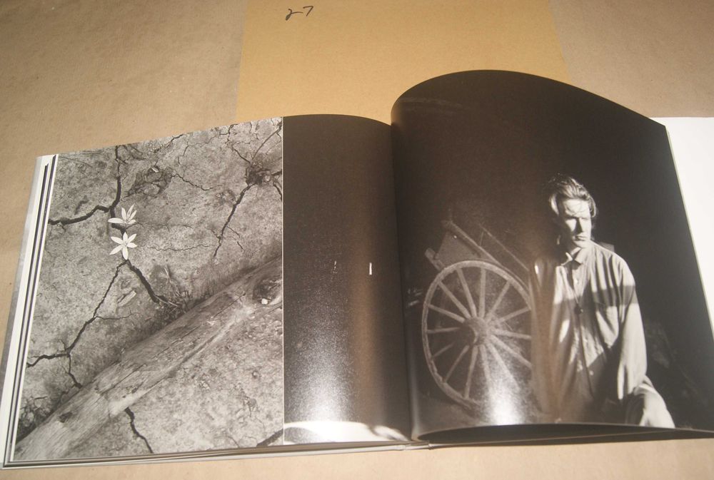 Edição limitada n.º 27/500, Like Planets, Yuka Fujii e David Sylvian