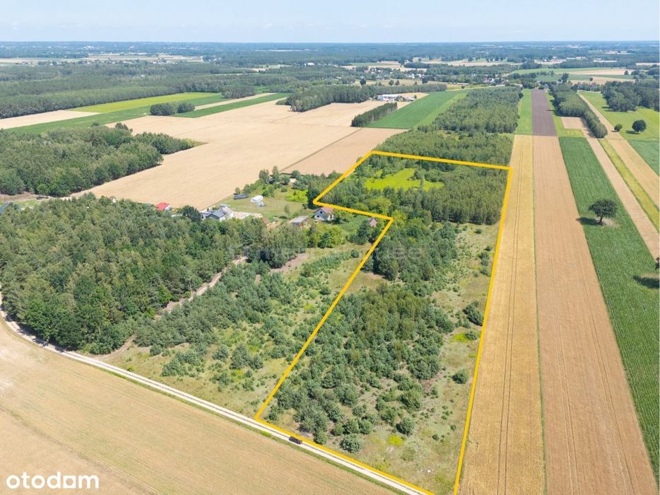 Działka inwestycyjna 3,5 ha 26 domów, Nasielsk - Widok 4