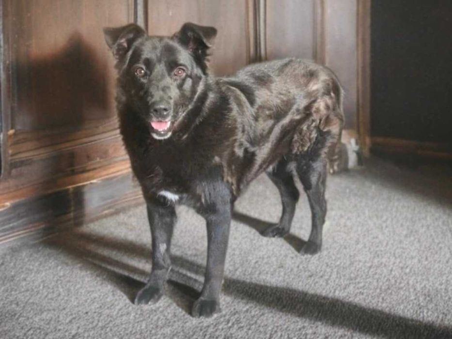 Luka i Diego szukamy cudu ale próbujemy