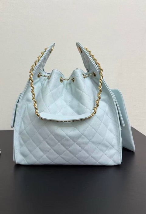 Chanel Small Hobo 25bag 30cm