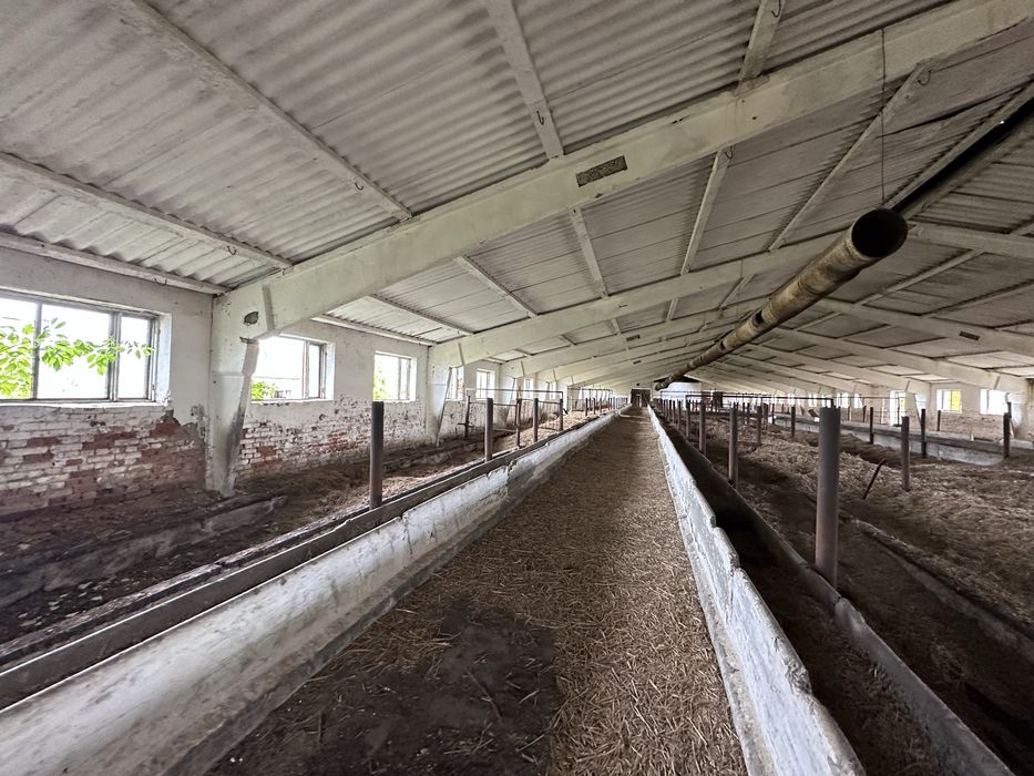 Продам ферму в с. Живачів від Власника, споруди 20,400м2, 16,1га землі
