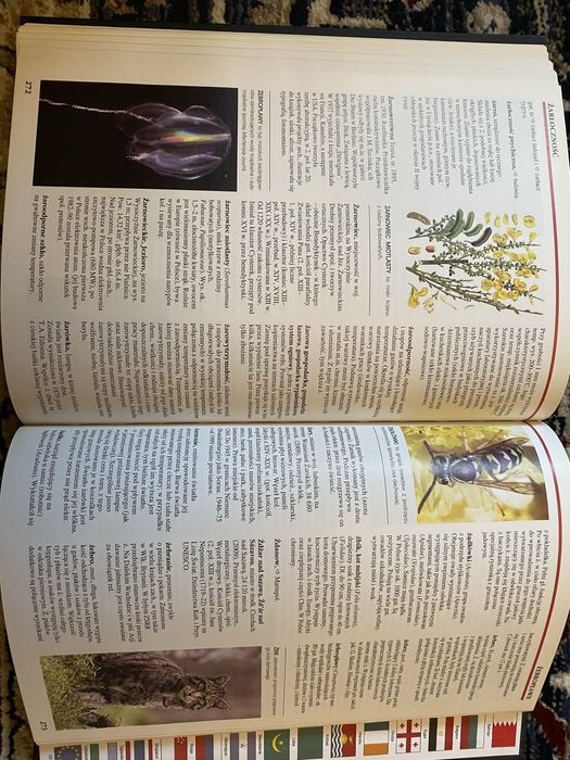 Encyklopedia  20 Tomów