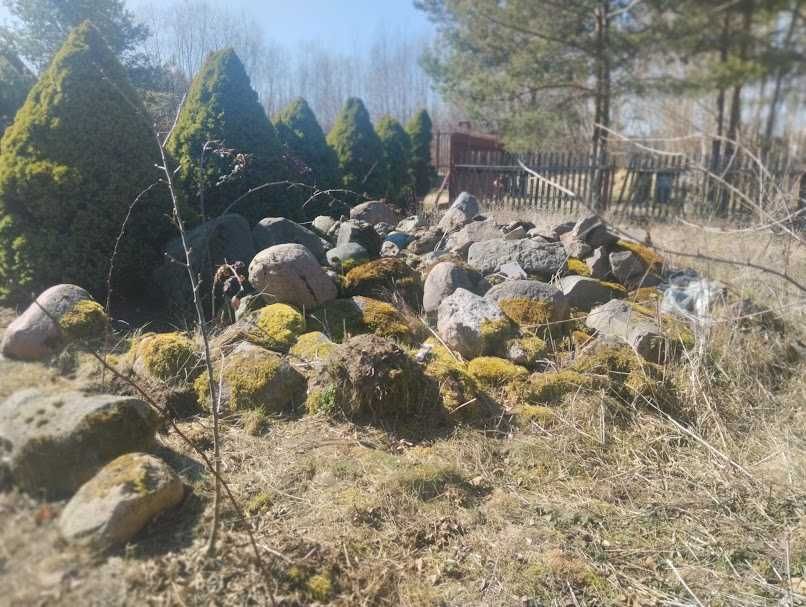 Głazy polne kamienie