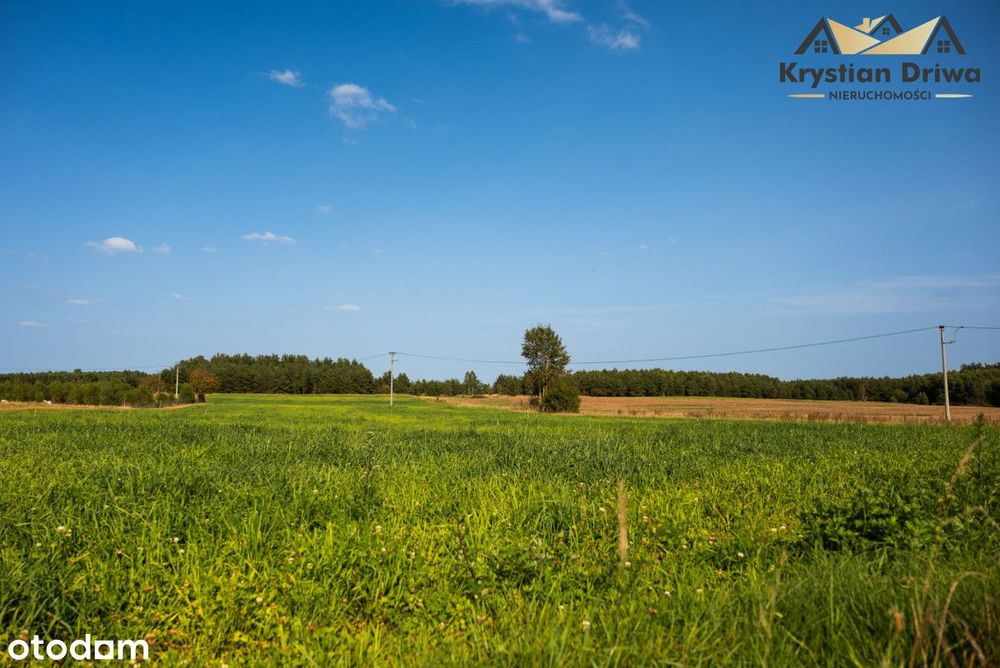 Działka budowlana w gm. Sulęczyno
